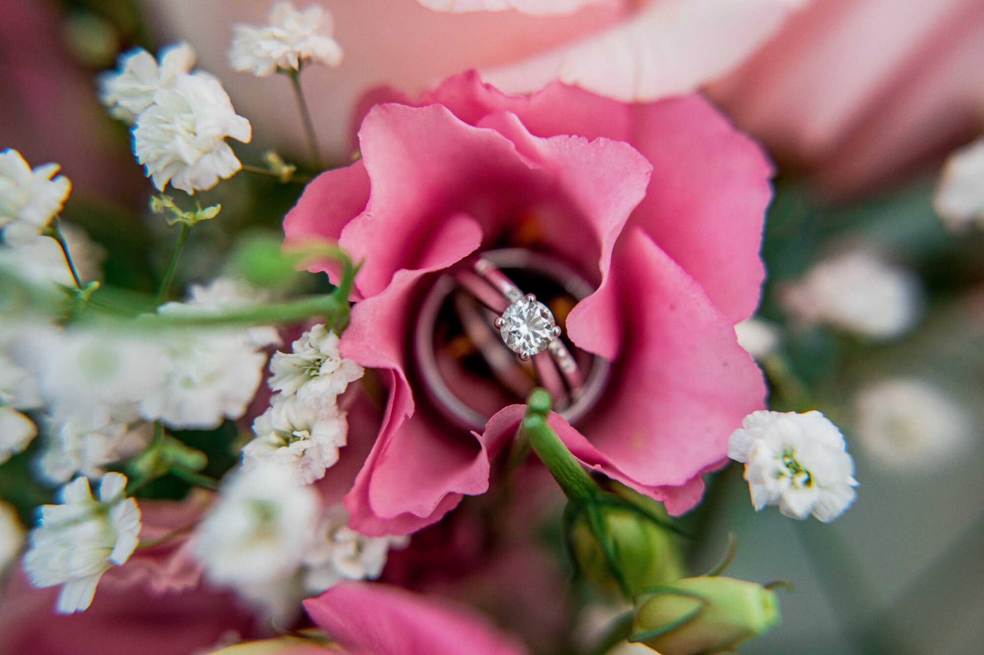 Monochromatic Haven Photography Boston Cape Cod Wedding Photography